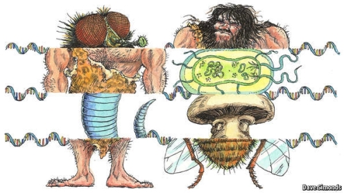A genetically modified human (Cartoon)